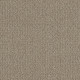 TRANSLATE - Simply Tan 00704