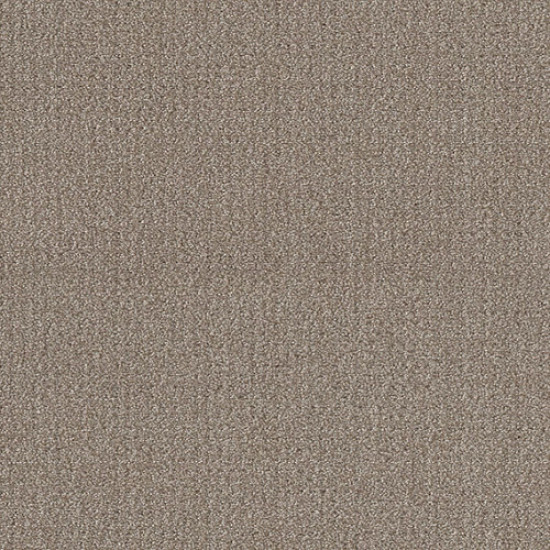 TRANSLATE - Simply Tan 00704