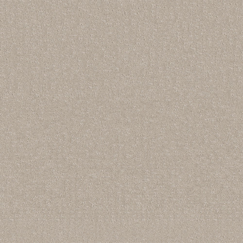 CHIC NUANCE - Washed Linen 00103