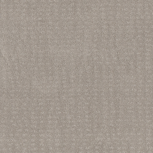 CHIC NUANCE - Split Sediment 00104