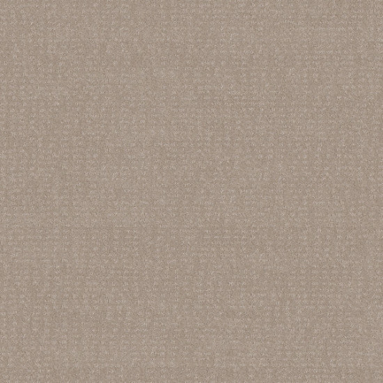 CHIC NUANCE - Butter Cream 00107