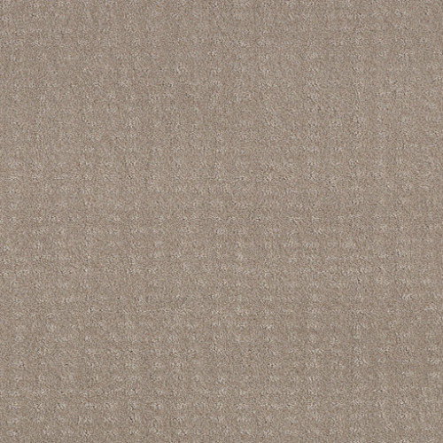 CHIC NUANCE - Fossil Path 00108