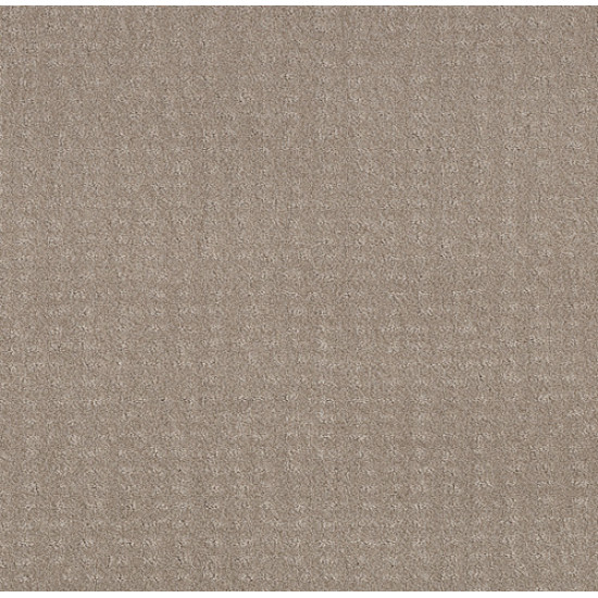 CHIC NUANCE - Fossil Path 00108