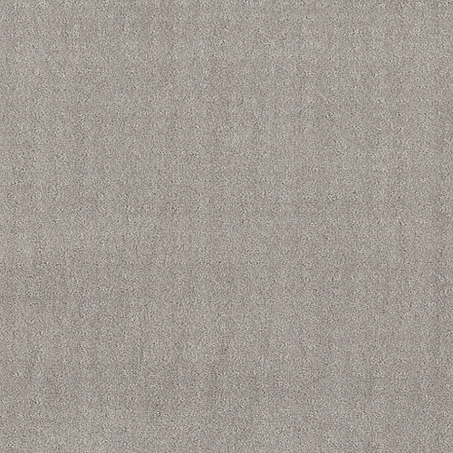 CHIC NUANCE - Silver Lining 00500