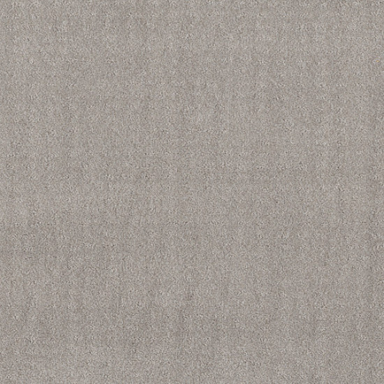 CHIC NUANCE - Silver Lining 00500 CHIC NUANCE - Silver Lining 00500