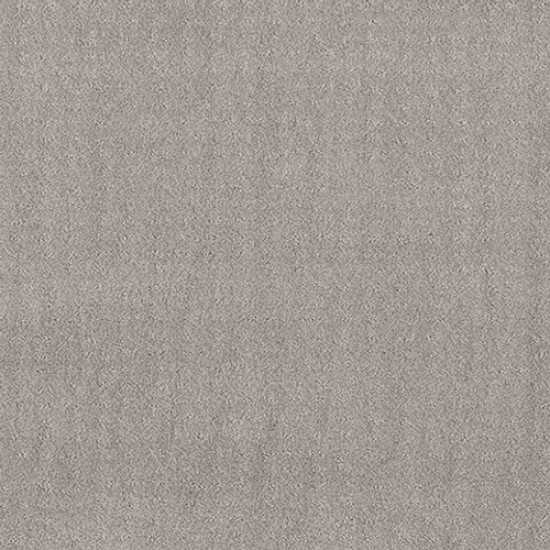 CHIC NUANCE - Silver Lining 00500 CHIC NUANCE - Silver Lining 00500