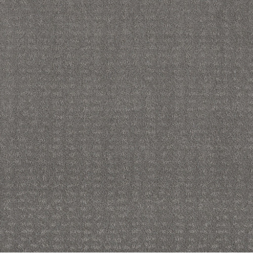 CHIC NUANCE - Grey Fox 00504