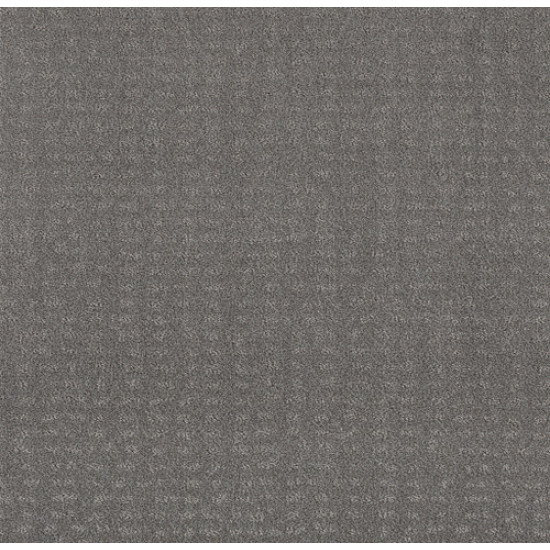 CHIC NUANCE - Grey Fox 00504