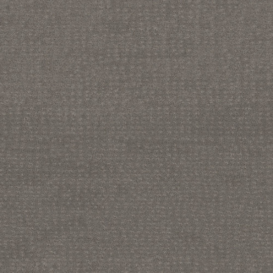 CHIC NUANCE - Grey Fox 00504