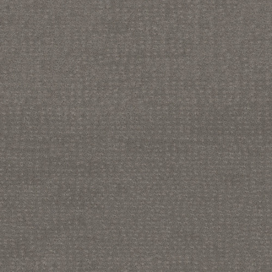 CHIC NUANCE - Grey Fox 00504