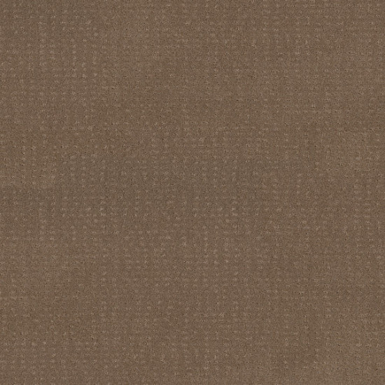 CHIC NUANCE - Raw Wood 00720