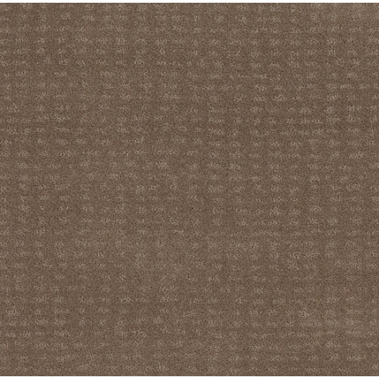 CHIC NUANCE - Raw Wood 00720