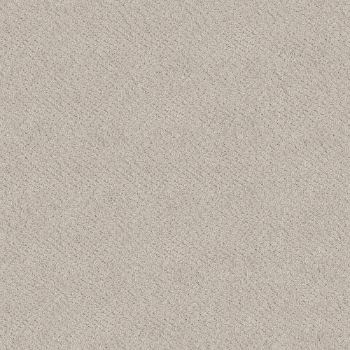 CHIC SHADES - Serene Still 00101
