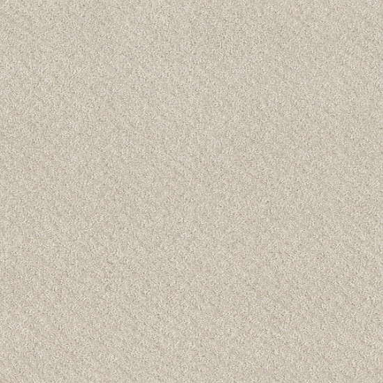 CHIC SHADES - Serene Still 00101 CHIC SHADES - Serene Still 00101