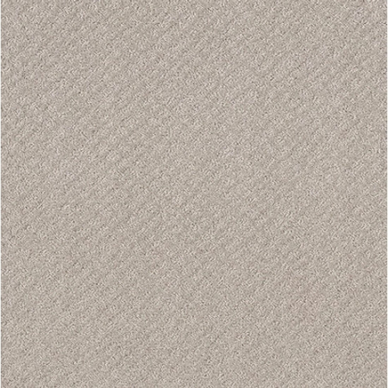 CHIC SHADES - Split Sediment 00104