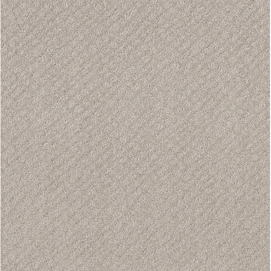 CHIC SHADES - Split Sediment 00104