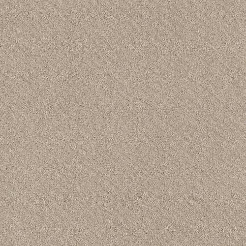 CHIC SHADES - Butter Cream 00107