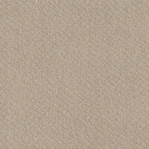 CHIC SHADES - Butter Cream 00107