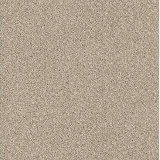CHIC SHADES - Butter Cream 00107