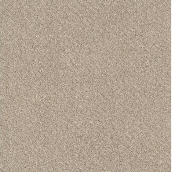 CHIC SHADES - Butter Cream 00107