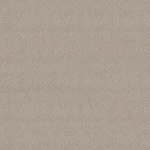 CHIC SHADES - Fossil Path 00108