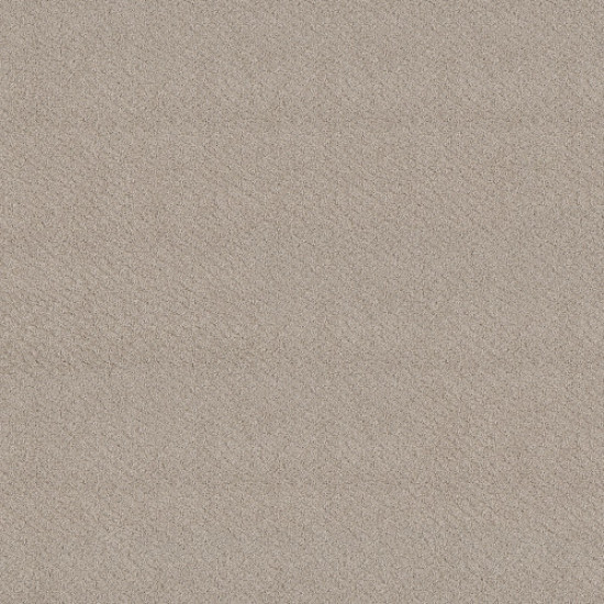 CHIC SHADES - Fossil Path 00108