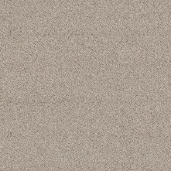 CHIC SHADES - Fossil Path 00108
