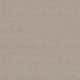 CHIC SHADES - Fossil Path 00108