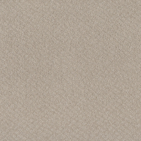 CHIC SHADES - Fossil Path 00108