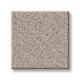 CHIC SHADES - Fossil Path 00108