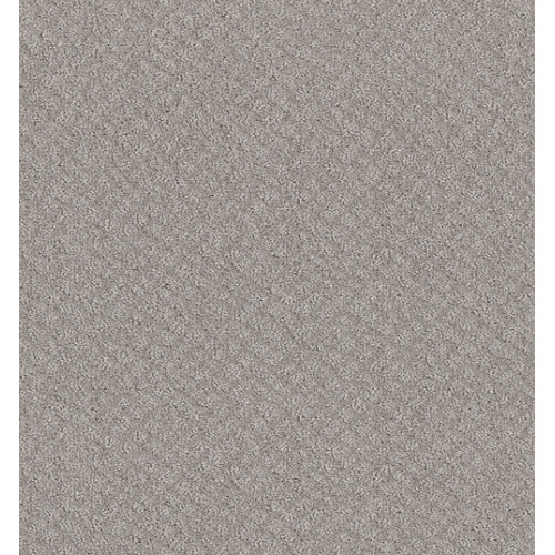 CHIC SHADES - Silver Lining 00500