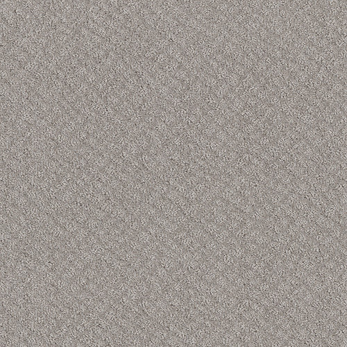 CHIC SHADES - Silver Lining 00500