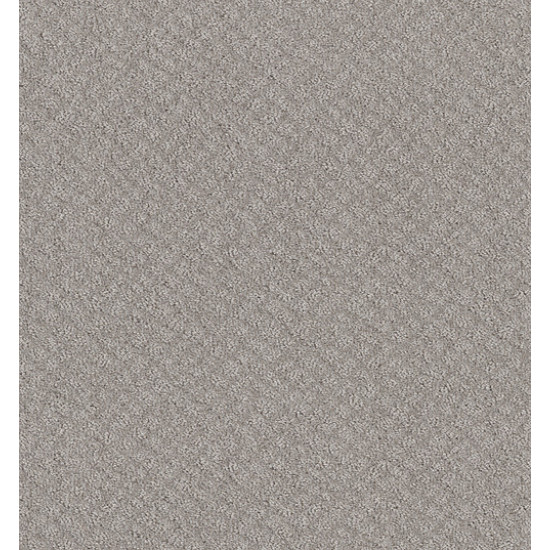 CHIC SHADES - Silver Lining 00500