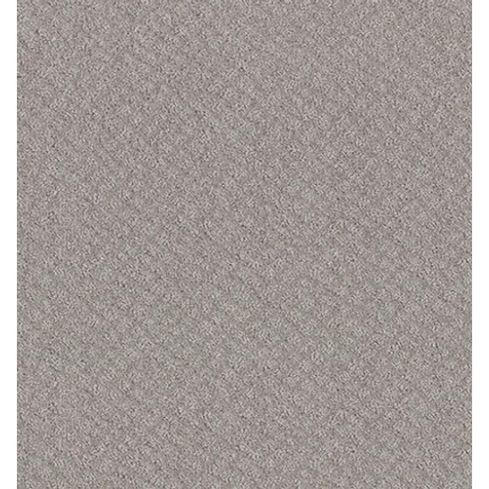 CHIC SHADES - Silver Lining 00500