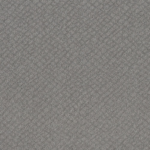 CHIC SHADES - Grey Fox 00504