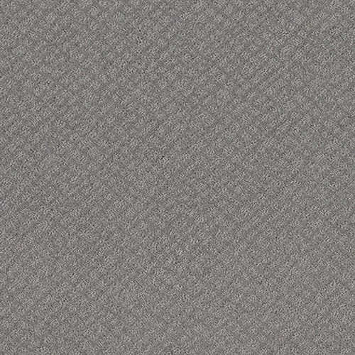 CHIC SHADES - Grey Fox 00504
