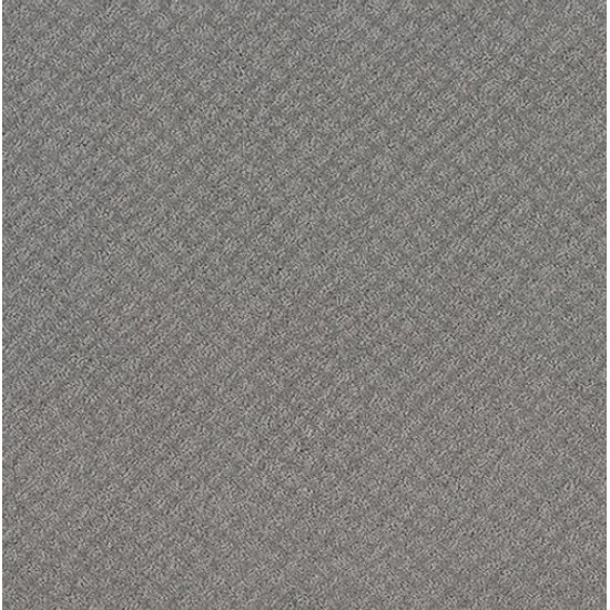 CHIC SHADES - Grey Fox 00504