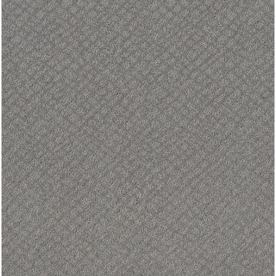 CHIC SHADES - Grey Fox 00504
