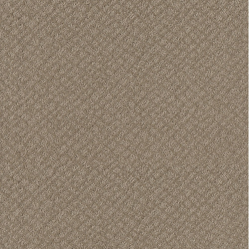 CHIC SHADES - Desert View 00701
