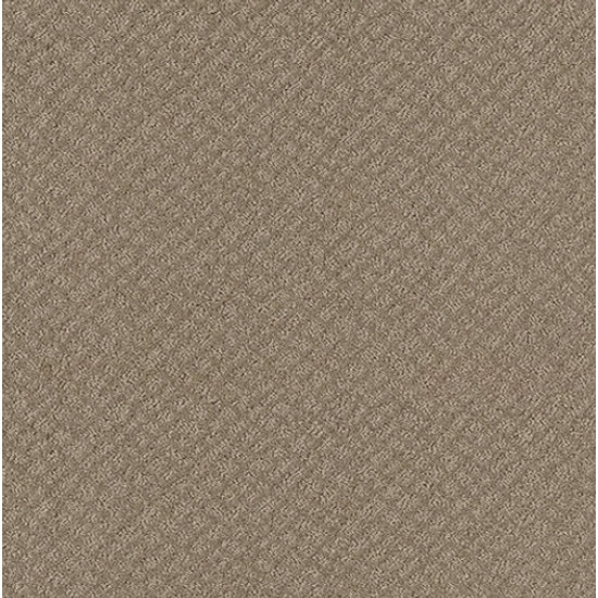 CHIC SHADES - Desert View 00701 CHIC SHADES - Desert View 00701