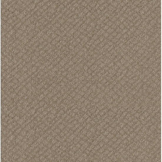 CHIC SHADES - Desert View 00701 CHIC SHADES - Desert View 00701