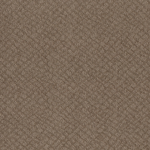 CHIC SHADES - Raw Wood 00720