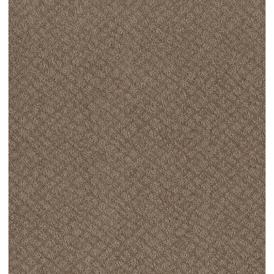 CHIC SHADES - Raw Wood 00720