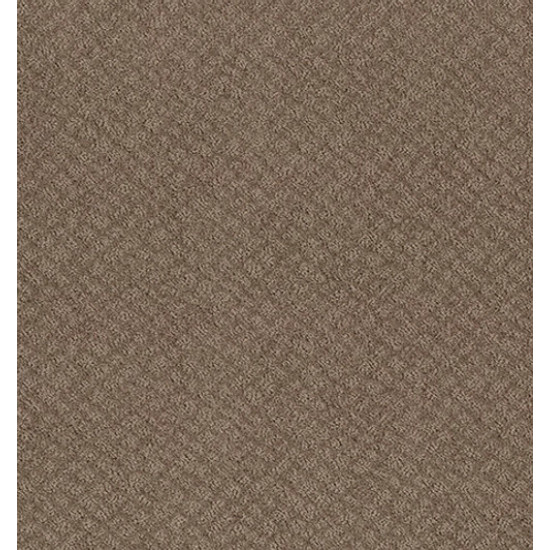 CHIC SHADES - Raw Wood 00720