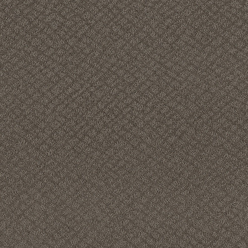 CHIC SHADES - Ridgeview 00751