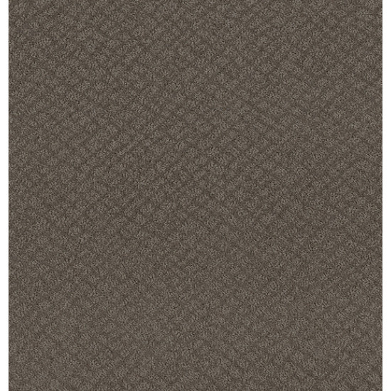 CHIC SHADES - Ridgeview 00751