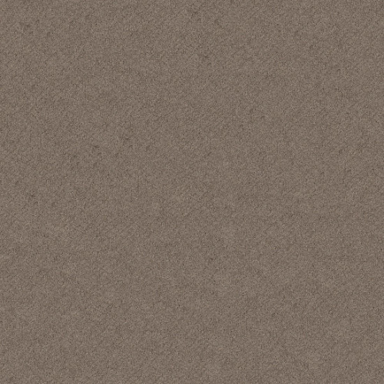 CHIC SHADES - Ridgeview 00751