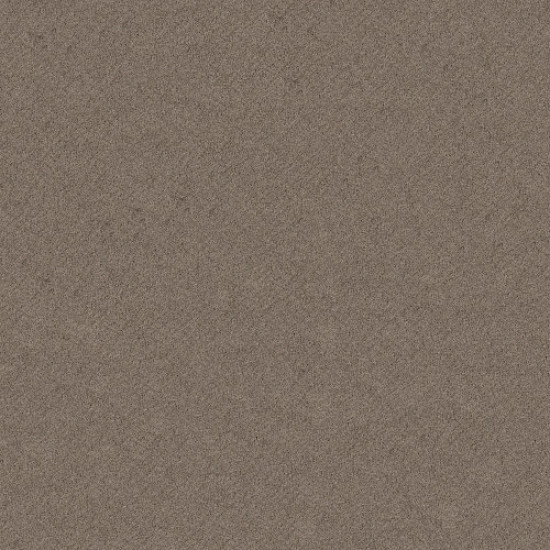 CHIC SHADES - Ridgeview 00751