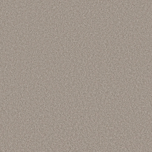 HARMONIOUS I - Fossil Path 00108