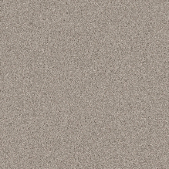 HARMONIOUS I - Fossil Path 00108